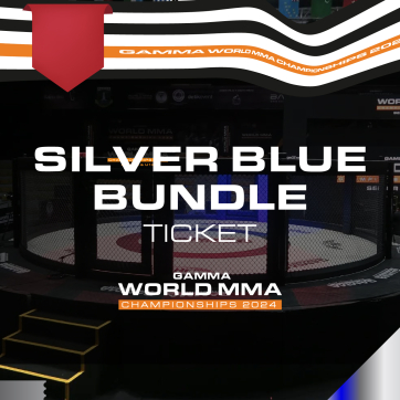 Silver Blue Bundle